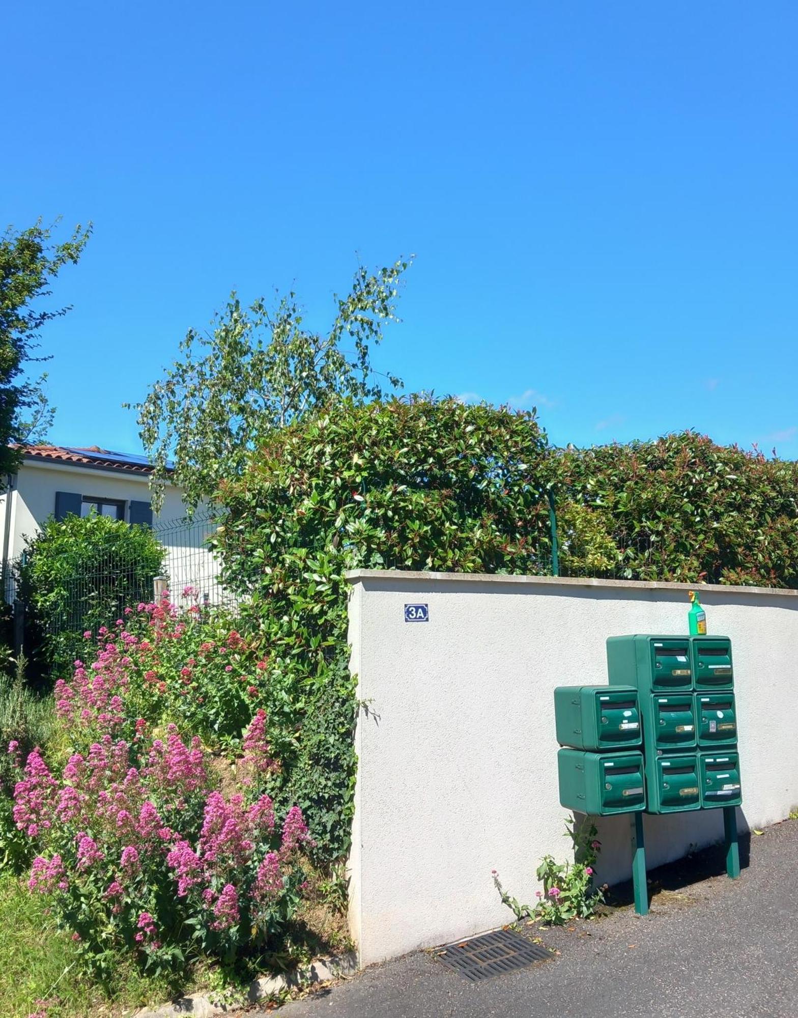 Ferienwohnung L'Olivier Mornant Exterior foto